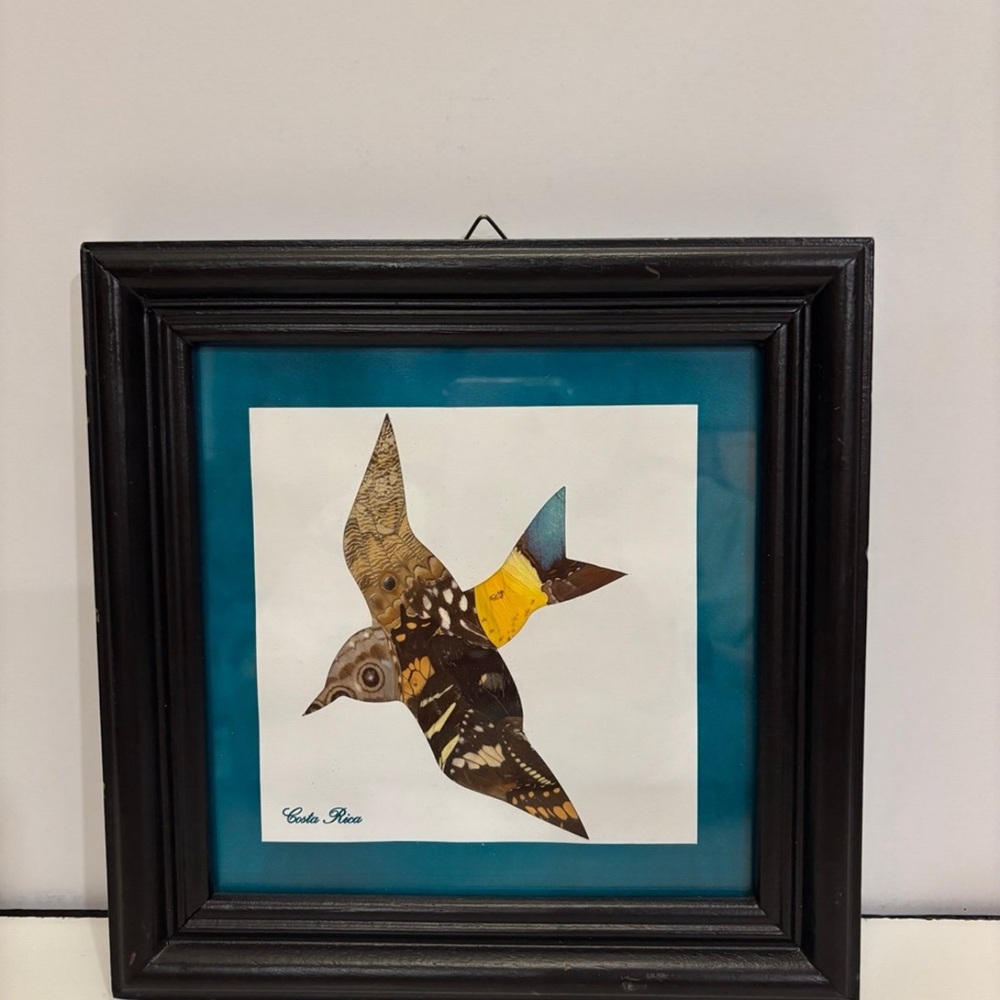 Framed Bird Art with Black Frame